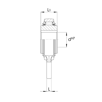 Mounted roller bearing freewheel RSBW