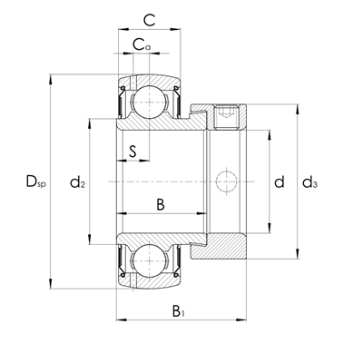 Napínací ložisko z nerezové oceli SSA209