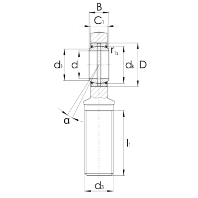 Radial-Gelenkkopf GAR..DO
