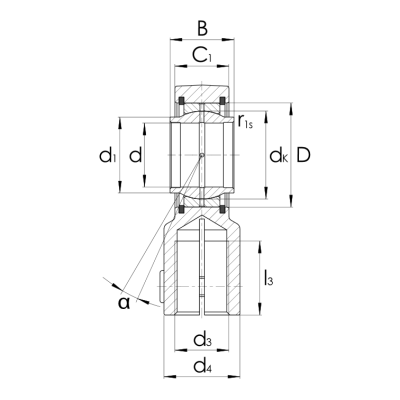 Hydraulik Gelenkkopf GIHNRK-LO