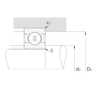Rillenkugellager 161