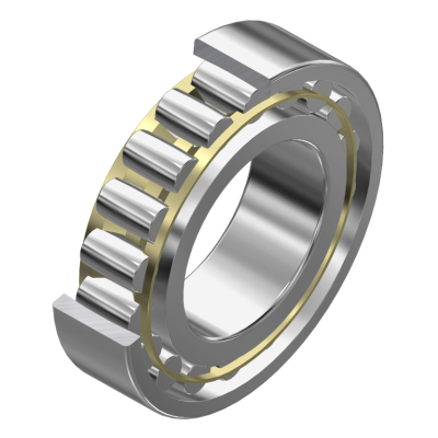 Toroidal roller bearing C22